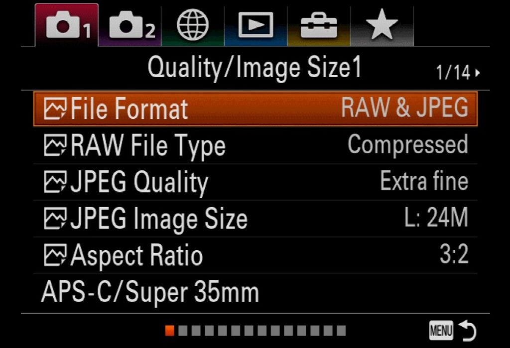 sony raw to jpeg